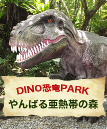 Yanbaru Subtropical Forest & 3D Dinosaur Experience