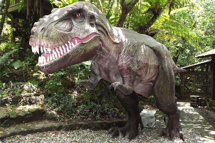 DINO Dinosaur PARK Yanbaru Subtropical Forest