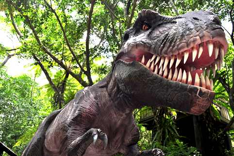 A dinosaur appears in the subtropical forest of Yanbaru!