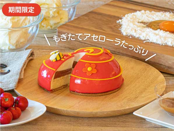 【期間限定販売】沖縄のもぎたてアセローラチーズケーキを5月12日アセローラの日に発売