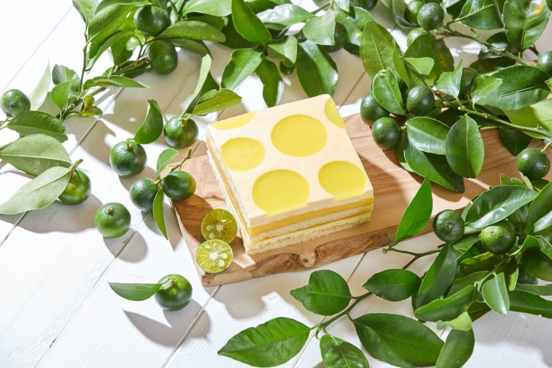 [Limited time offer] Okinawa Shikuwasa cheesecake to be released on September 9th